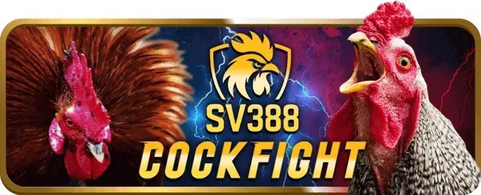 Bước 3: Tham gia cá cược và giải trí